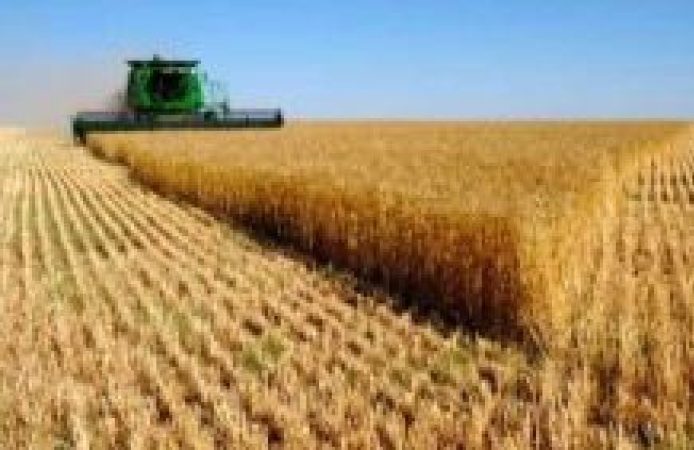 Pakistan’s agri division to strengthen under CPEC
