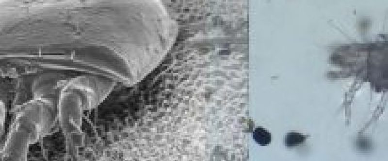 We Offer You the Best Cleaning Services at the Most Affordable Prices