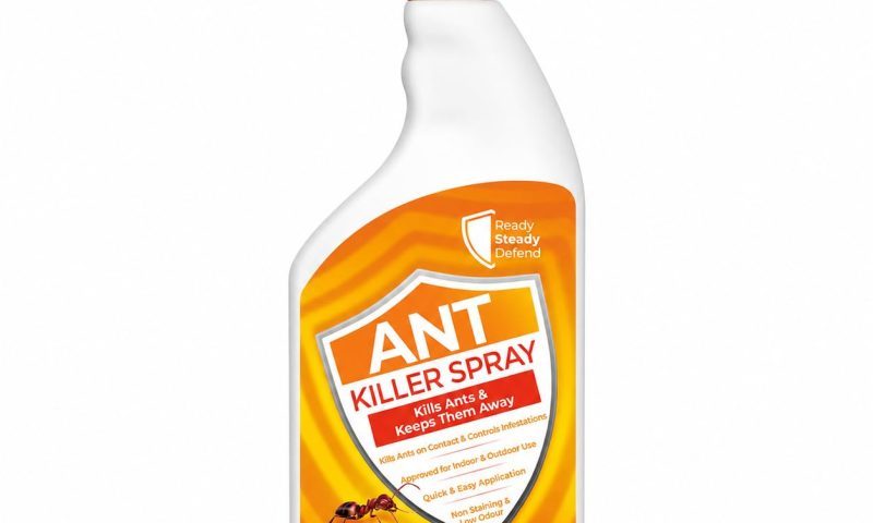 Ant Spray That Keeps Ants Away