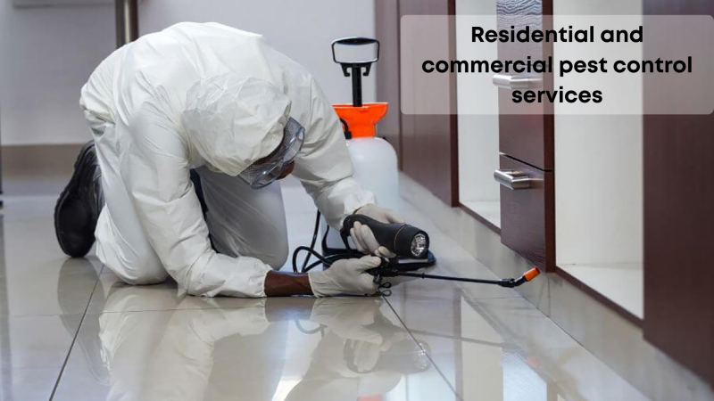 Professional Pest Invasion Prevention and Control services in Mississauga