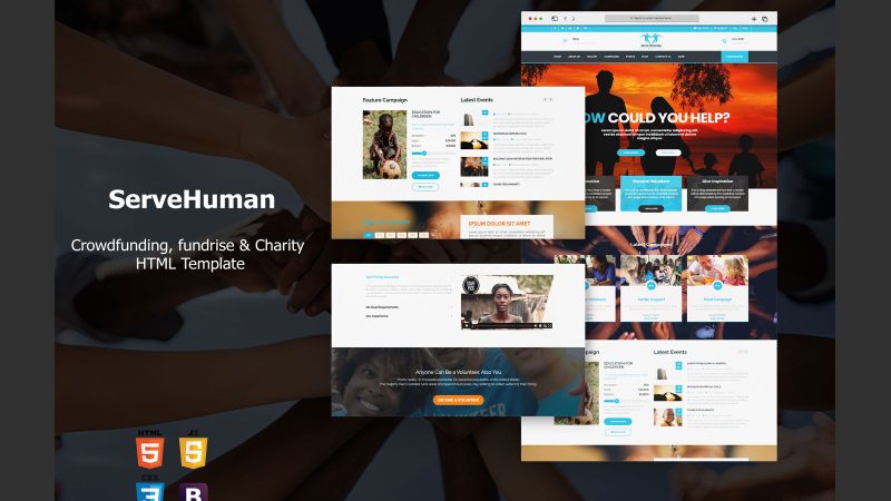 What is Bootstrap Theme and What does It Serve?