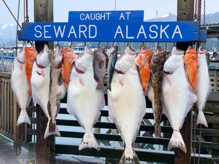 The best Seafood and fish form Alaska