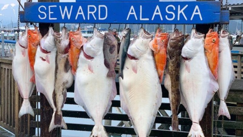 The best Seafood and fish form Alaska