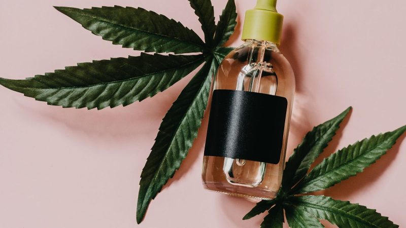 What is CBD Oil? All You Need To Know