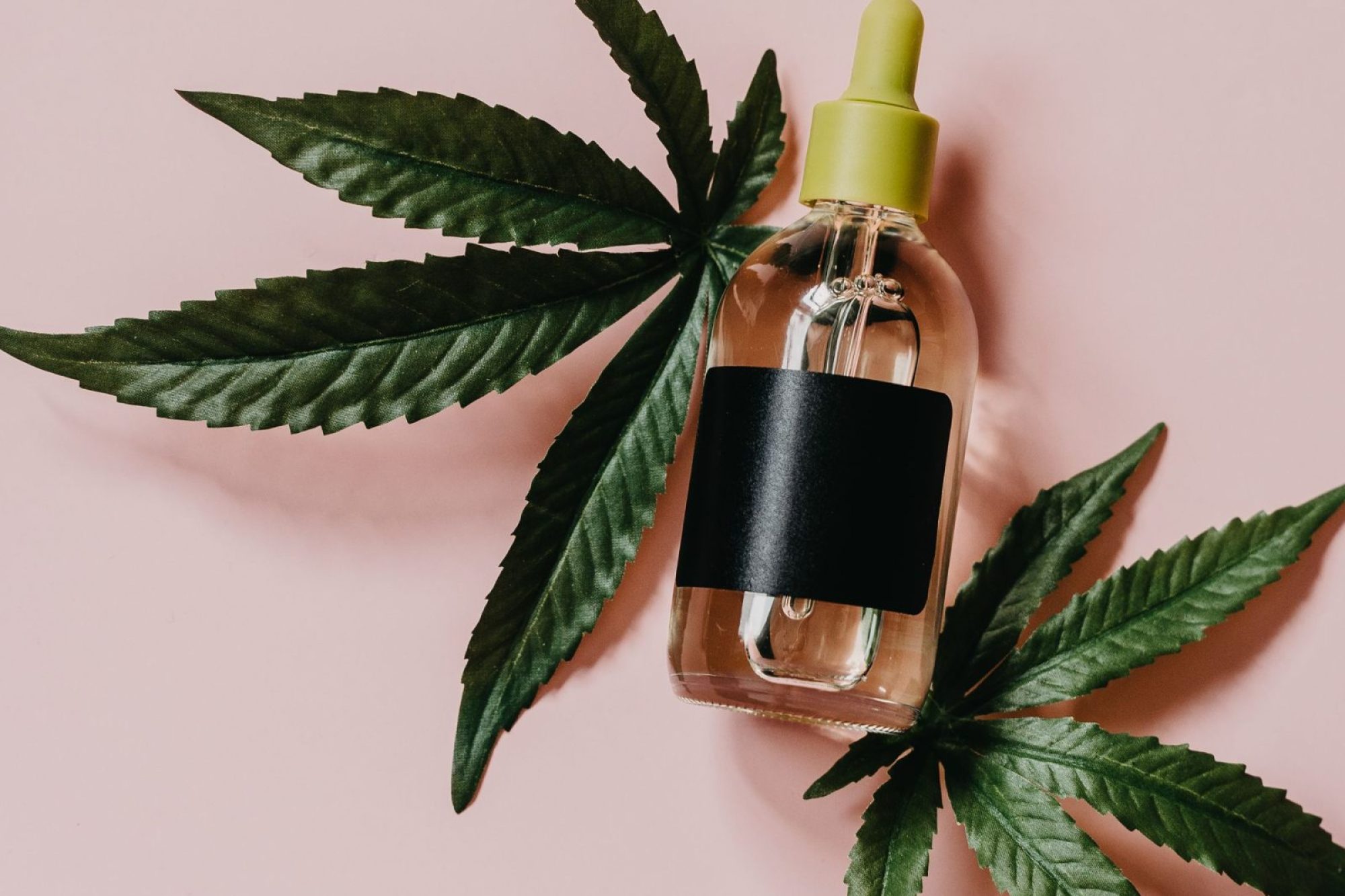What is CBD Oil? All You Need To Know