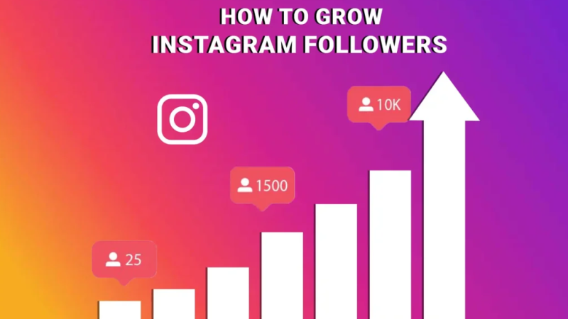 How To Grow Instagram Followers In 2019