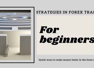 Strategies In Forex Trading For Beginners In 2019