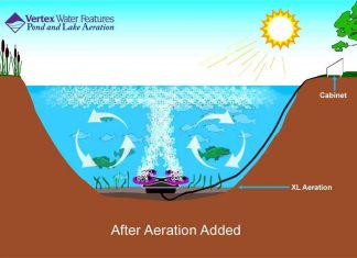 Pond Aeration For Healthy Water