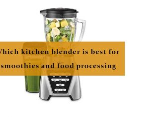 Which kitchen blender is best for smoothies and food processing