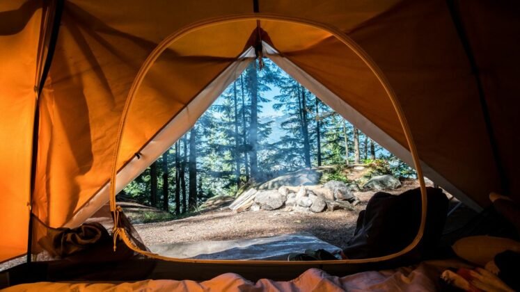 Top 5 Camping Essentials You Need to Know in 2021 » Dfives